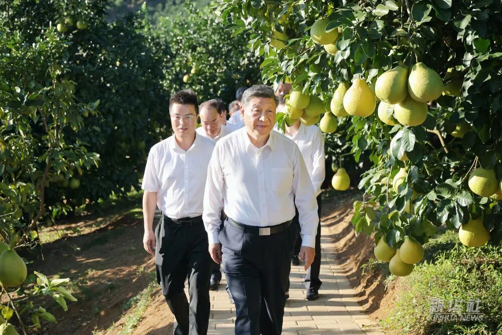 安博app官网